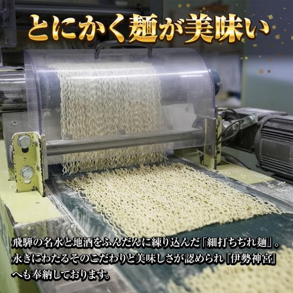 飛騨高山 醤油ラーメン 5食 生めん ラーメン らーめん 拉麺 ご当地 取り寄せ グルメ 岐阜 白川郷 送料無料 ポイント消化 メール便06
