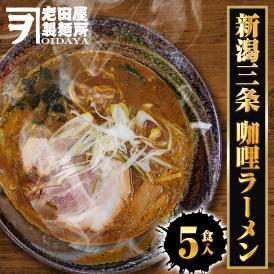 新潟三条 珈竰ラーメン 5食 生めん カレー ラーメン らーめん 拉麺 ご当地 取り寄せ グルメ 新潟 三条 カリー スパイス 送料無料 ポイント消化 メール便