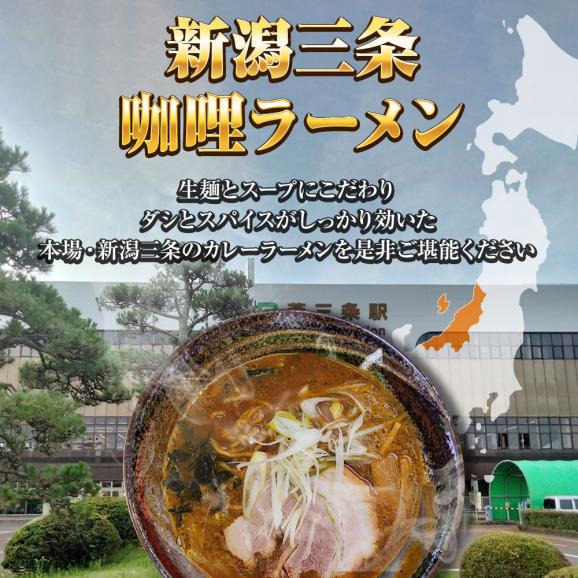 新潟三条 珈竰ラーメン 5食 生めん カレー ラーメン らーめん 拉麺 ご当地 取り寄せ グルメ 新潟 三条 カリー スパイス 送料無料 ポイント消化 メール便02