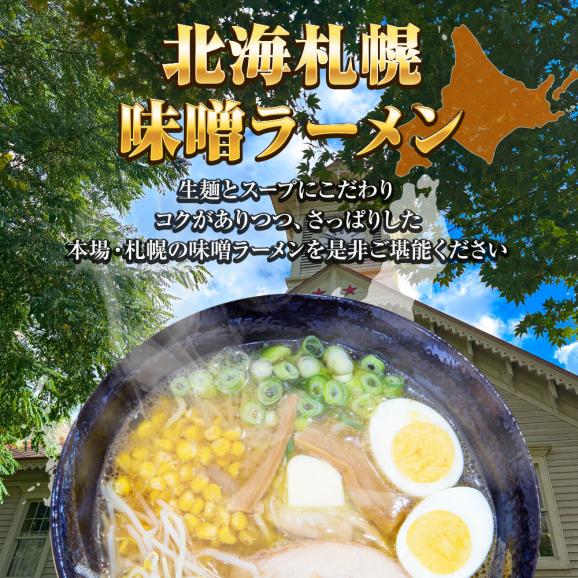 北海札幌 味噌ラーメン 5食 生めん みそ ミソ 味噌 ラーメン らーめん 拉麺 ご当地 取り寄せ グルメ 札幌 北海道 みそラーメン 送料無料 ポイント消化 メール便02