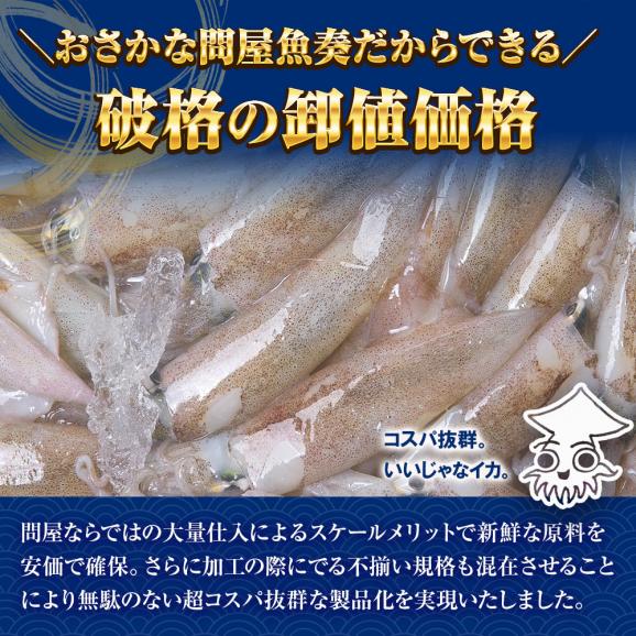 げそ燻製 げそくん 訳あり 下足 ゲソ メガ盛り 珍味170 g いかげそ ポイント消化 酒の肴 在宅 おつまみ ギフト 家飲み メール便04