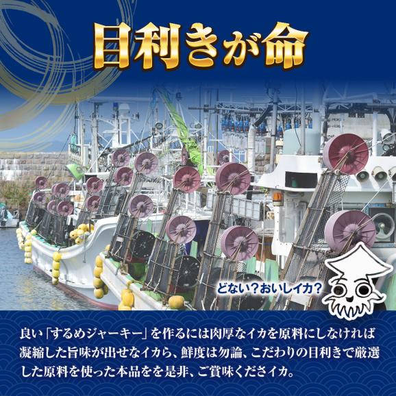 するめジャーキー 訳あり 170g 酒の肴 スルメ いか イカ ポイント消化 おつまみ おかず おやつ 駄菓子 ジャーキー ソフト 家飲み 仕送り お取り寄せ 在宅03