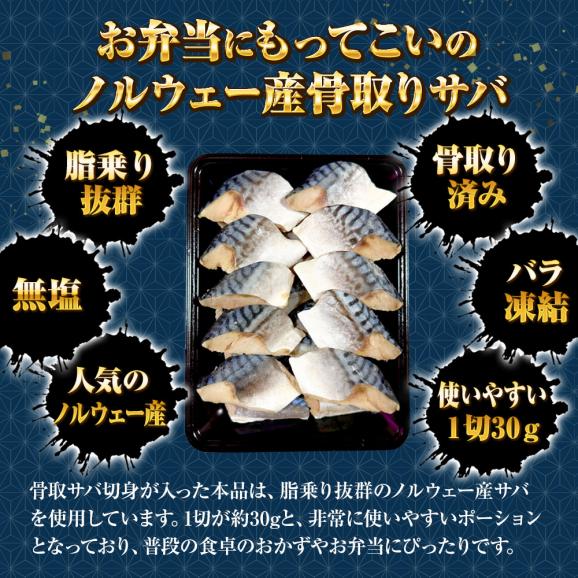 無塩 骨取り さば 切身（30g×20切） さば サバ 切り身 弁当 朝食 天然もの ポイント利用 送料無料02