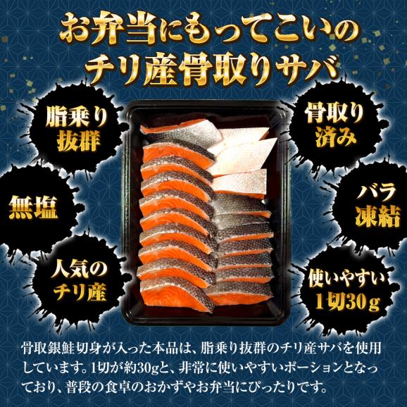無塩 骨取り 銀鮭 切身（30g×20切） さけ サケ 切り身 弁当 朝食 生鮭 送料無料02