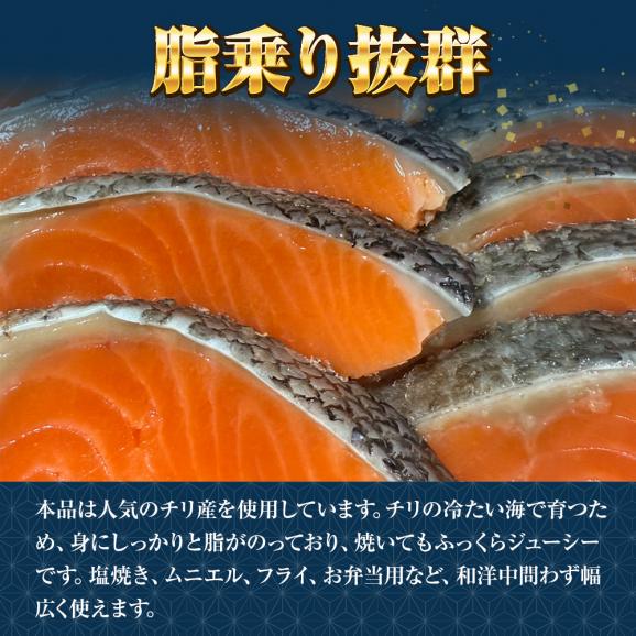 無塩 骨取り 銀鮭 切身（30g×20切） さけ サケ 切り身 弁当 朝食 生鮭 送料無料06