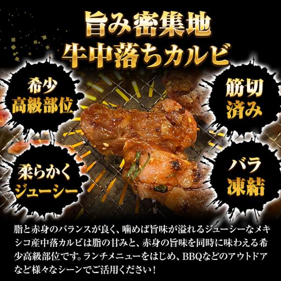 牛中落ちカルビ メガ盛り 500g×3パック 牛 牛肉 バラ肉 カルビ リブ ビーフ メキシコ産 焼肉 BBQ  送料無料02