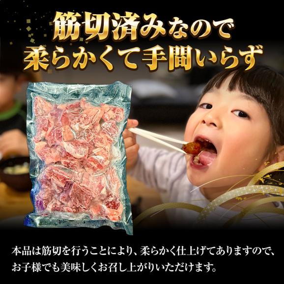 牛中落ちカルビ メガ盛り 500g×3パック 牛 牛肉 バラ肉 カルビ リブ ビーフ メキシコ産 焼肉 BBQ  送料無料05