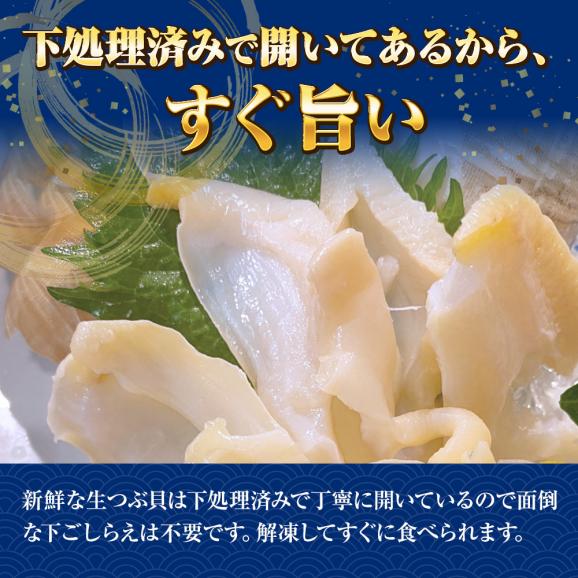 つぶ貝むき身 500ｇ ツブ貝 粒貝 ツブ貝 開き 生食用 ロシア産 送料無料 つぶがい貝 寿司ネタ 炙り04