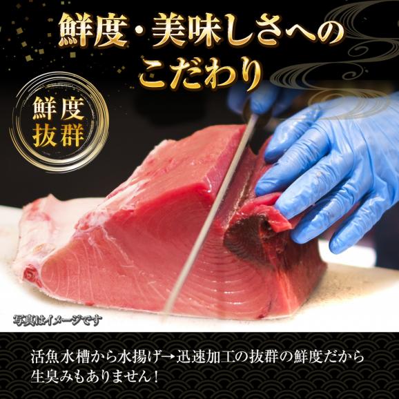 海鮮七宝漬 90ｇ×8パック 海鮮丼の具 流水解凍 鮪 烏賊 鯛 八町 環八 平目 縞鰺 7種の海鮮 簡単便利 ポイント利用 お試し商品 サンプル05