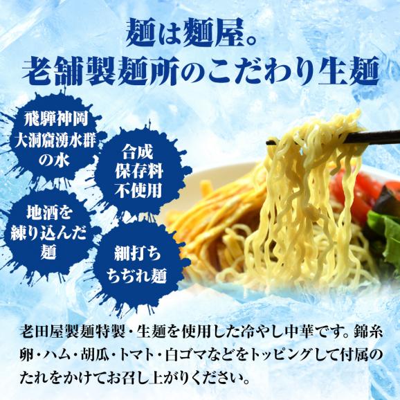 生冷やし中華 5食 生めん ひやし中華 冷やし中華始めました 醤油ダレ ポスト投函 ちぢれ麺 簡単 土用丑 中元 ギフト スタミナ 取寄せ02