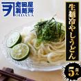 生麺冷やしうどん 5食 生めん ざるうどん 冷やしうどん 饂飩 ウドン ポスト投函 生麺 簡単