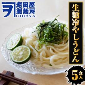 生麺冷やしうどん 5食 生めん ざるうどん 冷やしうどん 饂飩 ウドン ポスト投函 生麺 簡単