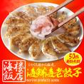 究極の海老餃子 50粒 えび餃子 エビ餃子 えび エビ 海老 餃子 ぎょうざ ギョウザ 冷凍 土用丑 中元 ギフト スタミナ 取寄せ