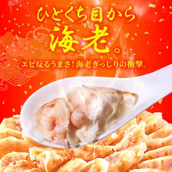 究極の海老餃子 50粒 えび餃子 エビ餃子 えび エビ 海老 餃子 ぎょうざ ギョウザ 冷凍 土用丑 中元 ギフト スタミナ 取寄せ02