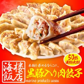 究極の餃子 50粒 国産 黒豚入り 餃子 ぎょうざ ギョウザ ギョーザ 生餃子 冷凍餃子 冷凍 土用丑 中元 ギフト スタミナ 取寄せ