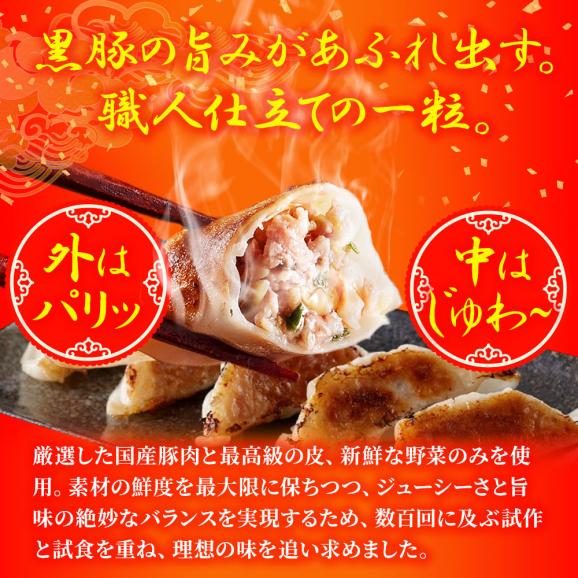 究極の餃子 50粒 国産 黒豚入り 餃子 ぎょうざ ギョウザ ギョーザ 生餃子 冷凍餃子 冷凍 土用丑 中元 ギフト スタミナ 取寄せ03