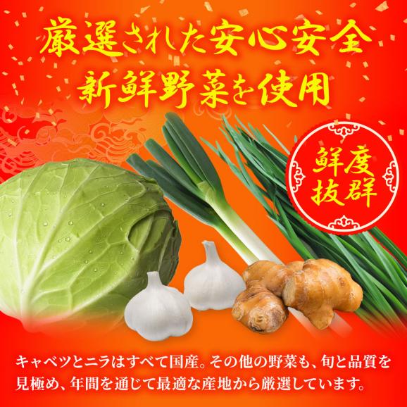 究極の餃子 50粒 国産 黒豚入り 餃子 ぎょうざ ギョウザ ギョーザ 生餃子 冷凍餃子 冷凍 土用丑 中元 ギフト スタミナ 取寄せ06