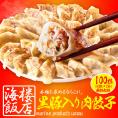 究極の餃子 100粒（50粒×2袋） 国産 黒豚入り 餃子 ぎょうざ ギョウザ ギョーザ 生餃子 冷凍餃子 冷凍