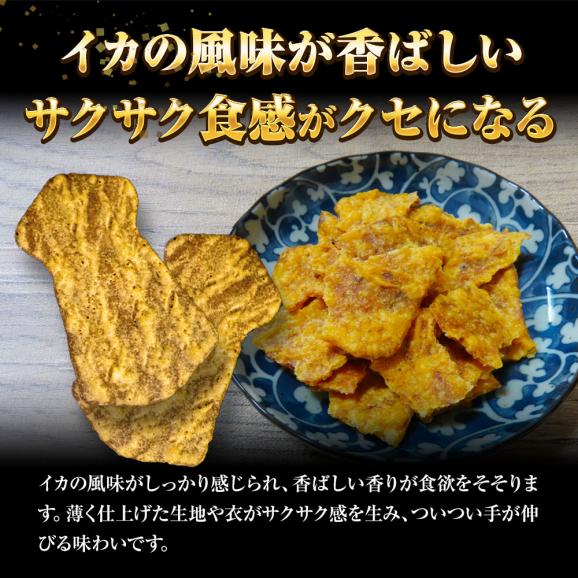 訳あり いか姿フライ 220g 折れイカ姿フライ イカフライ 徳用 大容量 駄菓子 なつかし ポスト投函 ポイント利用 お試し商品 サンプル03