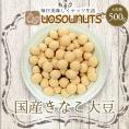 きなこ大豆 国産 500g きな粉 豆菓子 国産きなこ大豆 ギフト 送料無料 ポスト投函 ポイント利用 お試し商品 サンプル
