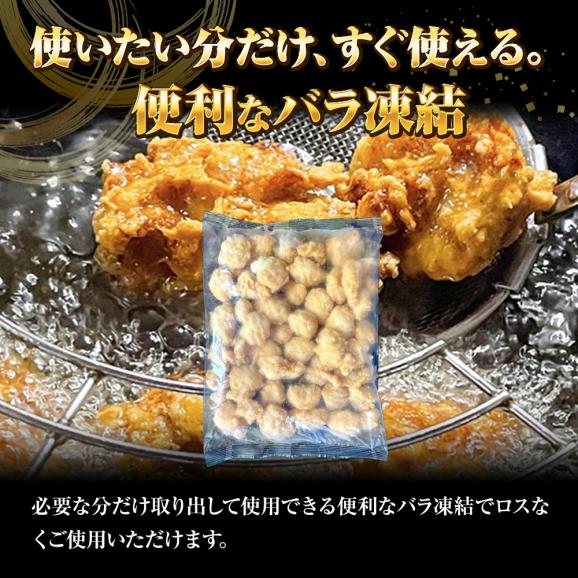 豚ロース 唐揚げ 500g ぶた唐揚げ 豚カラ ぶた ブタ 豚 国内製造 豚肉 やわらか ポイント利用 お試し商品 サンプル04