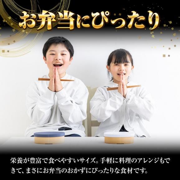 豚ロース 唐揚げ 500g ぶた唐揚げ 豚カラ ぶた ブタ 豚 国内製造 豚肉 やわらか ポイント利用 お試し商品 サンプル06