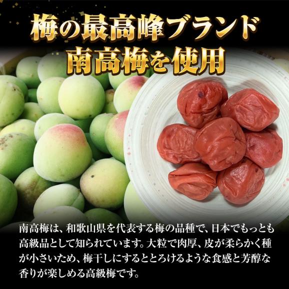 すこし訳あり 紀州南高梅 しそ梅 1kg 梅干し うめ ウメ 梅 徳用 大容量 南高梅 塩分10％ キズ つぶれ BBQ 敬老 敬老の日 ギフト進物03