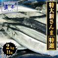 特大生さんま 2kg（11尾） 特選 送料無料 生食可能 さんま サンマ 秋刀魚 北海道 → 三陸 BBQ 敬老 敬老の日 ギフト進物