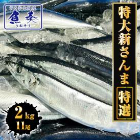特大生さんま 2kg（11尾） 特選 送料無料 生食可能 さんま サンマ 秋刀魚 北海道 → 三陸 BBQ 敬老 敬老の日 ギフト進物