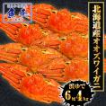 ケース販売限定特価 北海道産 浜茹で オオズワイガニ 姿 メガ盛り 4kg6尾 特大サイズ 蟹 カニ 蟹 ポイント利用 お試し商品 サンプル