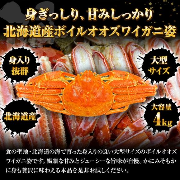 ケース販売限定特価 北海道産 浜茹で オオズワイガニ 姿 メガ盛り 4kg6尾 特大サイズ 蟹 カニ 蟹 ポイント利用 お試し商品 サンプル02