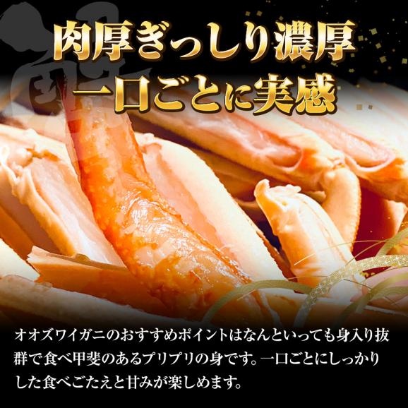 ケース販売限定特価 北海道産 浜茹で オオズワイガニ 姿 メガ盛り 4kg6尾 特大サイズ 蟹 カニ 蟹 ポイント利用 お試し商品 サンプル03