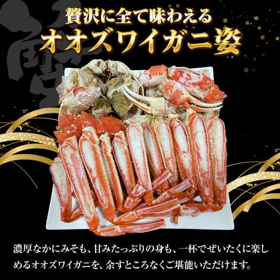 ケース販売限定特価 北海道産 浜茹で オオズワイガニ 姿 メガ盛り 4kg6尾 特大サイズ 蟹 カニ 蟹 ポイント利用 お試し商品 サンプル04