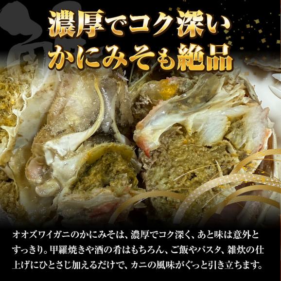 ケース販売限定特価 北海道産 浜茹で オオズワイガニ 姿 メガ盛り 4kg6尾 特大サイズ 蟹 カニ 蟹 ポイント利用 お試し商品 サンプル05