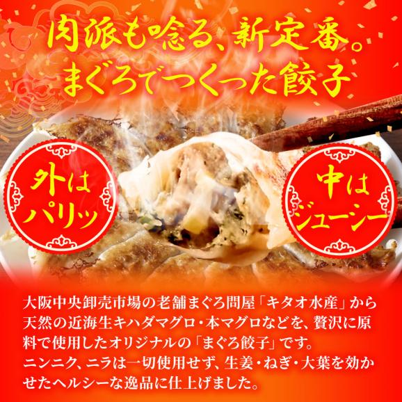 究極のまぐろ餃子 50粒 まぐろ餃子 鮪餃子 まぐろ マグロ 鮪 餃子 ぎょうざ ギョウザ 冷凍 ポイント利用 お試し商品 サンプル03