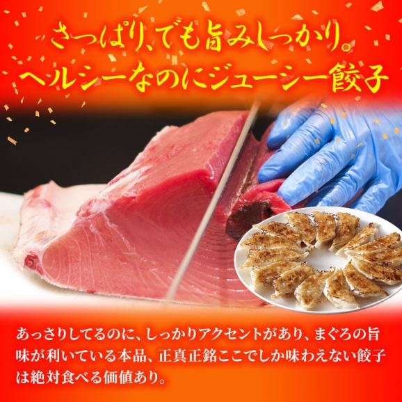 究極のまぐろ餃子 50粒 まぐろ餃子 鮪餃子 まぐろ マグロ 鮪 餃子 ぎょうざ ギョウザ 冷凍 ポイント利用 お試し商品 サンプル06