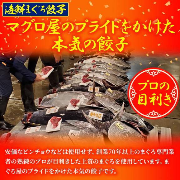 究極のまぐろ餃子 & 海老餃子 セット 100粒(各50粒づつ×2袋) 餃子 ぎょうざ ギョウザ ポイント利用 お試し商品 サンプル05