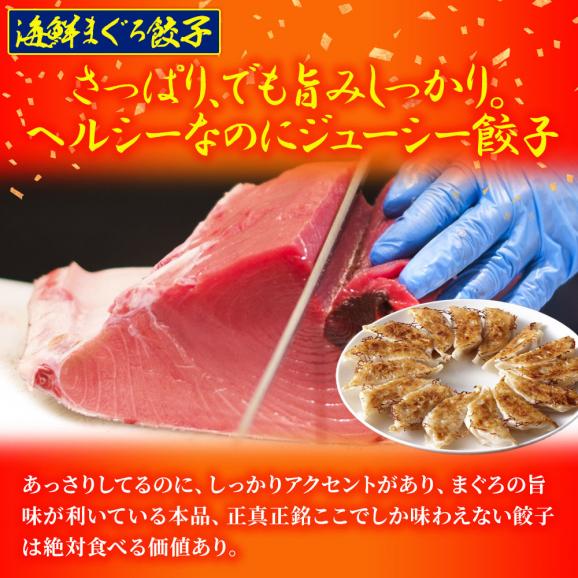 究極のまぐろ餃子 & 海老餃子 セット 100粒(各50粒づつ×2袋) 餃子 ぎょうざ ギョウザ ポイント利用 お試し商品 サンプル06