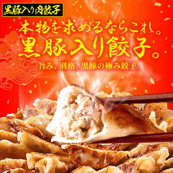 究極のまぐろ餃子 & 黒豚入り肉餃子 セット 100粒（各50粒づつ×2袋） 餃子 ぎょうざ ギョウザ ポイント利用 お試し商品 サンプル02