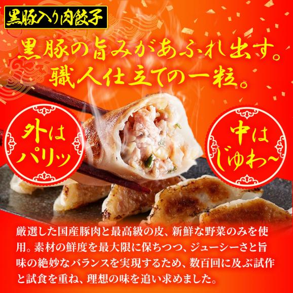 究極のまぐろ餃子 & 黒豚入り肉餃子 セット 100粒（各50粒づつ×2袋） 餃子 ぎょうざ ギョウザ ポイント利用 お試し商品 サンプル03