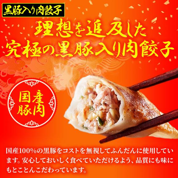 究極のまぐろ餃子 & 黒豚入り肉餃子 セット 100粒（各50粒づつ×2袋） 餃子 ぎょうざ ギョウザ ポイント利用 お試し商品 サンプル05