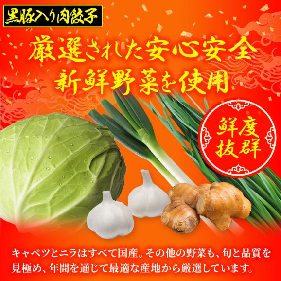 究極のまぐろ餃子 & 黒豚入り肉餃子 セット 100粒（各50粒づつ×2袋） 餃子 ぎょうざ ギョウザ ポイント利用 お試し商品 サンプル06