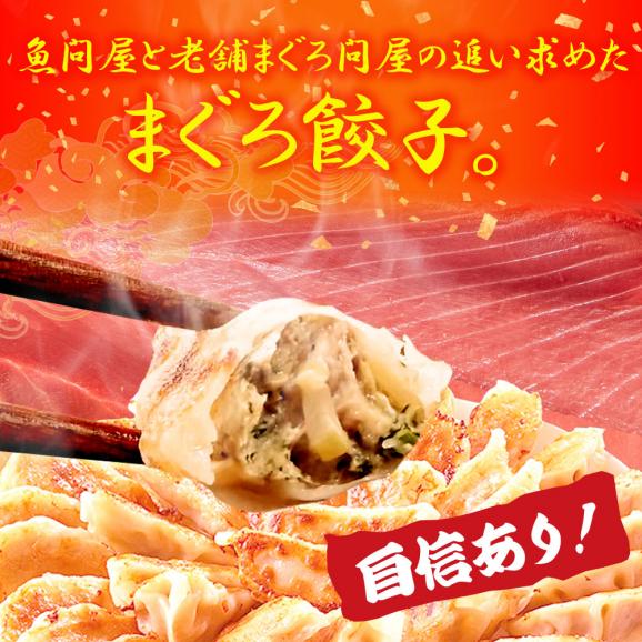 究極のまぐろ餃子 100粒(50粒×2袋 まぐろ餃子 鮪餃子 まぐろ マグロ 鮪 餃子 ぎょうざ ギョウザ 冷凍02