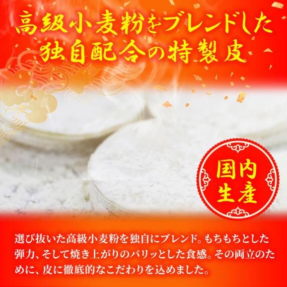 究極のまぐろ餃子 100粒(50粒×2袋 まぐろ餃子 鮪餃子 まぐろ マグロ 鮪 餃子 ぎょうざ ギョウザ 冷凍04