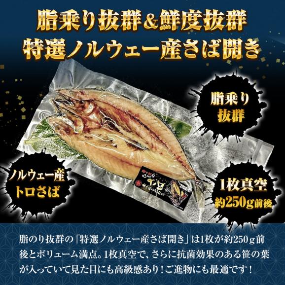 特選さば開き 約250ｇ 1枚真空 笹の葉入りトロさば サバ開きさば サバ 鯖 一夜干し 干物 トロさば とろサバ 丸安 ノルウェー産 トロサバ02