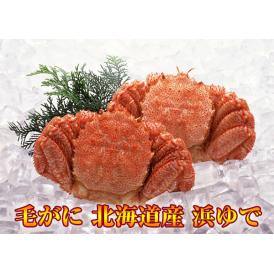毛がに 北海道産　浜ゆで（冷凍）500ｇ×２尾