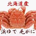 毛がに 北海道産　浜ゆで（冷凍）特大800g×１尾