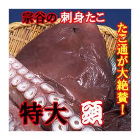 煮だこ頭　１玉 (700ｇ～1ｋg前後)　宗谷産