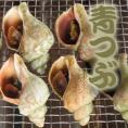 ボイル青つぶ１ｋｇ(15～20個入)(北海道産・自社加工・アブラ除去済）