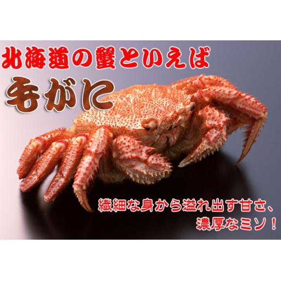 毛がに 北海道産　浜ゆで（冷凍）500ｇ×1尾02